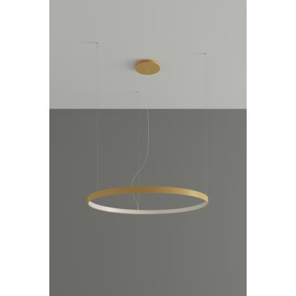 Thoro TH.181 - LED  Lustr na lanku RIO LED /50W/230V CRI 95 4000K pr. 78 cm zlatá
